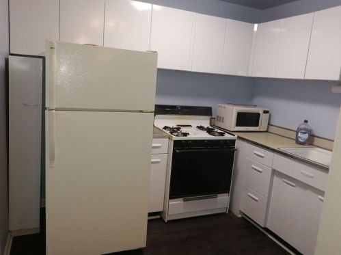 1401 55th St, Chicago IL  60615-5402 exterior