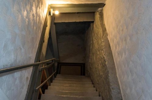 4131 Virginia Ave, Saint Louis MO 63118-4317 exterior