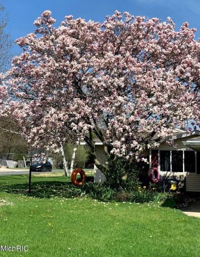 6608 College Ave, Grand Rapids MI 49548-6948 exterior