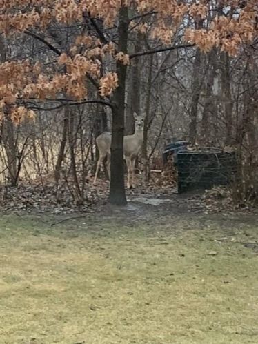 2095 2 St, Saint Paul MN 55110-3208 exterior