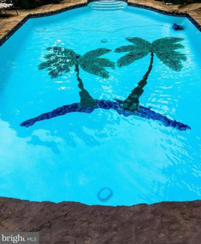 4512 Dolphin Ln, Alexandria VA 22309-3110 exterior