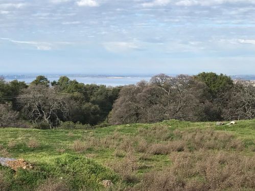 2040 Grn Spg Rd, Folsom CA 95762-9722 exterior