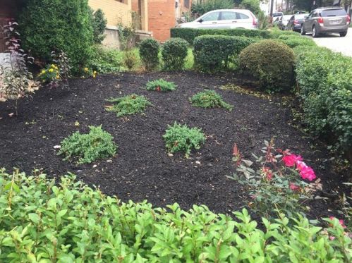 5813 Nicholson St, Pittsburgh, PA 15217-2309