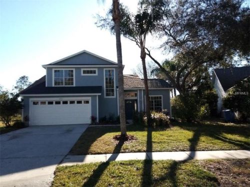 17711 Esprit Dr, Tampa FL  exterior