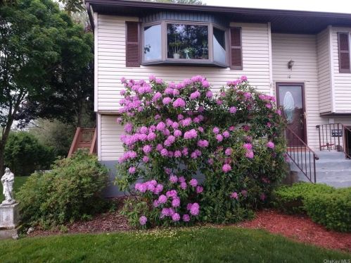 10 Eugene Ct, Poughkeepsie, NY 12601-1657