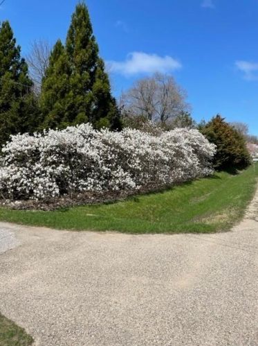 2368 68 St, Fennville MI 49408-9624 exterior