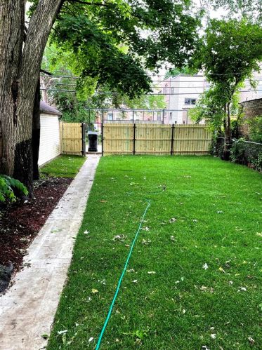 7816 Hermitage Ave, Chicago IL  60620-4415 exterior