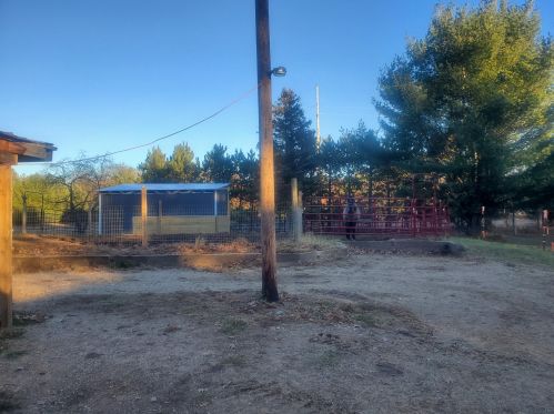 14735 190th Ave, Big Rapids MI  49307-9041 exterior