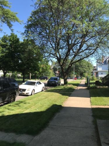 7215 Princeton Ave, Chicago, IL 60621-3537