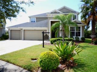 4232 Rustic Pine Pl, Zephyrhills FL  33544-8849 exterior