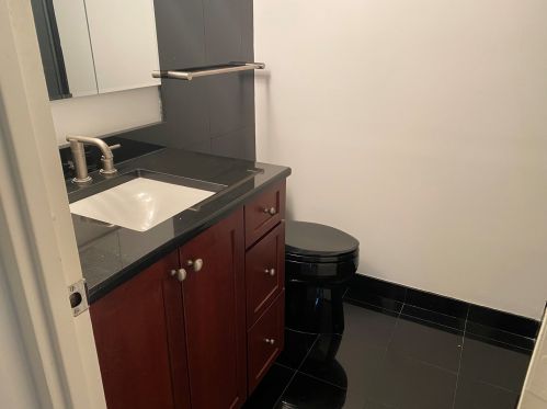 175 Delaware Pl, Chicago IL 60611-1756 exterior