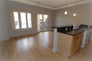 1310 Grenshaw St, Chicago IL  60607-4805 exterior