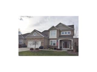 210 Prestwick Dr, Cleveland OH  44147-3075 exterior