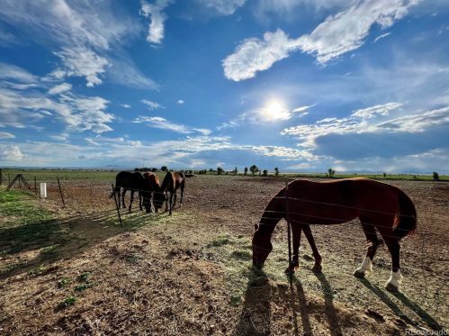 13995 County Rd, Antonito CO 81120 exterior