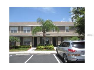 11513 Declaration Dr, Tampa, FL 33635-6342