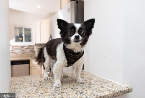 1231 26 St, Philadelphia PA 19121-4603 exterior