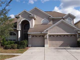 17833 Arbor Creek Dr, Tampa FL  33647-2939 exterior