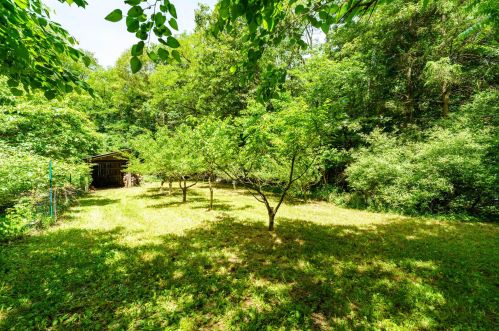 4624 1 St, Kalamazoo MI 49009-7943 exterior