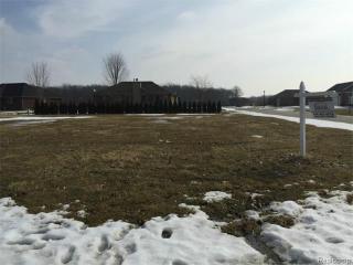 53264 Joann Marie Dr, New Baltimore MI  48047-2748 exterior