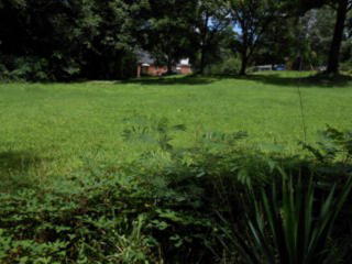 168 Odd St, Athens, GA 30601-2951