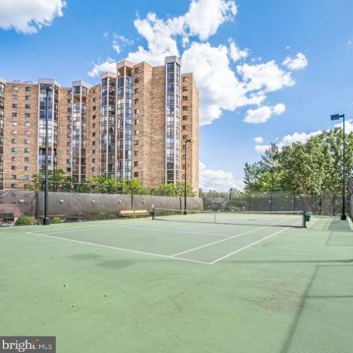 5904 Mount Eagle Dr, Alexandria VA 22303-2534 exterior