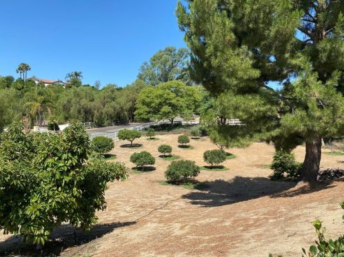 35350 Linda Rosea Rd, Temecula CA 92592-9532 exterior