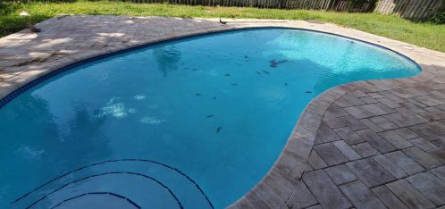 1316 4th St, Boca Raton FL  33486-4434 exterior