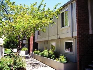 1236 Detroit Ave, Concord CA  94520-3658 exterior