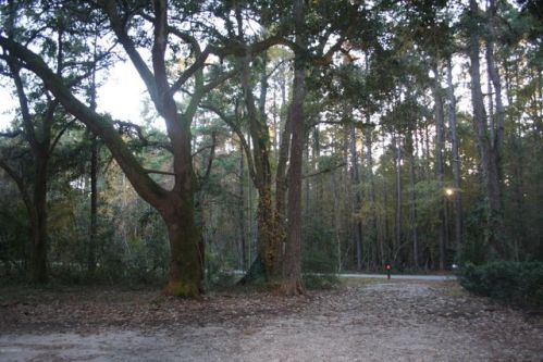 41 Palmetto Bluff Rd, Bluffton, SC 29910-6713