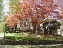 75 Sumner St, Newton, MA 02459-1952