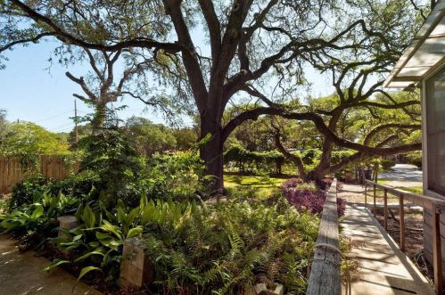 7504 Elm Forest Rd, Austin TX  78745-6214 exterior