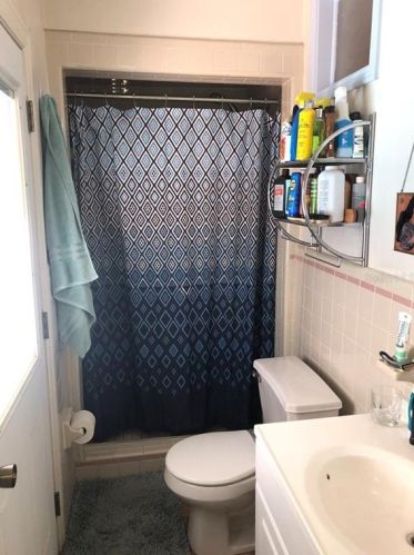 8005 Pne Hl Dr, Tampa FL 33617-7602 exterior