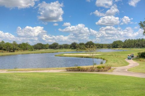 17709 Emerald Green Pl, Tampa FL 33647-2547 exterior