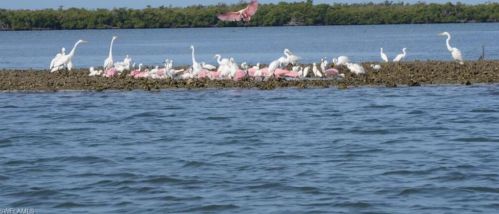 171 Cays Dr, Naples FL 34114-9629 exterior