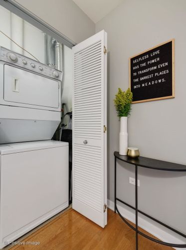 873 Larrabee St, Chicago IL  60610-3120 exterior