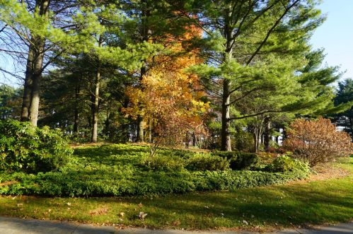 2425 58 St, Fennville MI 49408-8417 exterior