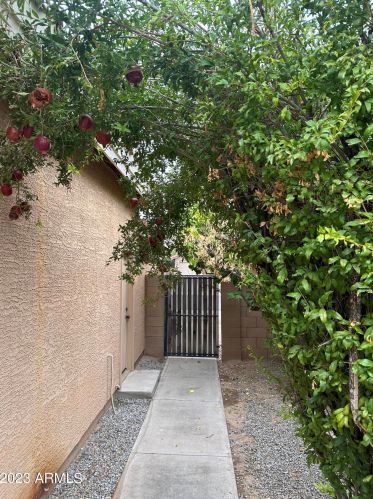 6813 Linda Ln, Chandler AZ 85226-1841 exterior