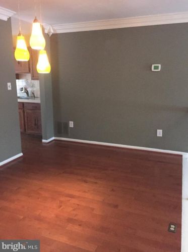 14206 Catamount Ct, Silver Spring MD  20906-2008 exterior