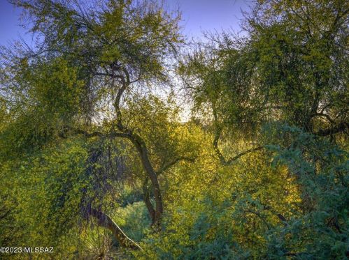 15259 Lago Del Oro Pkwy, Tucson AZ 85739-9621 exterior