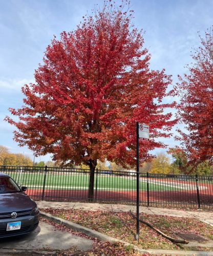 4925 Albany Ave, Chicago, IL 60625-4205