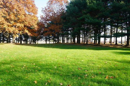 2425 58 St, Fennville MI 49408-8417 exterior