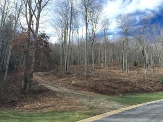 478 Barrington Dr, Asheville, NC 28803-8846