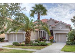 14745 San Marsala Ct, Tampa, FL 33626-3316