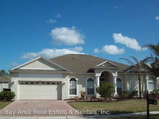 17367 Emerald Chase Dr, Tampa FL  33647-3516 exterior