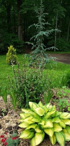 111 Deforest Rd, Wilton CT 06897-1910 exterior