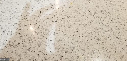 8120 Wyndam Rd, Camden NJ 08109-3221 exterior