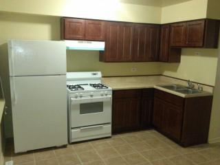 1038 Marquette Rd, Chicago IL  60637-4318 exterior