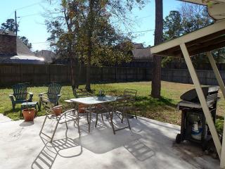 28809 Cherrywood Ln, Spring TX  77381-1014 exterior