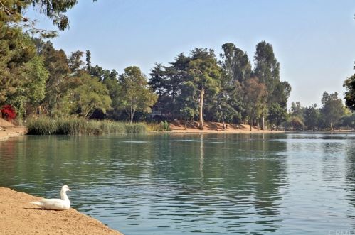 933 Verona Dr, Fullerton CA 92835-3340 exterior