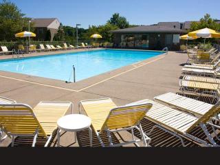 1010 Stonecliffe Dr, Monroeville PA  15146-3203 exterior